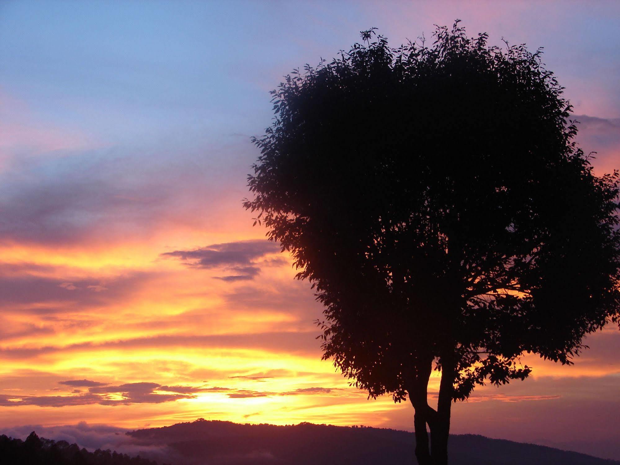 Blusalzz Escapade Anant Rasa Resort - Ranikhet Shitlakhet Екстер'єр фото